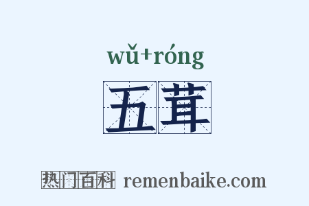 五茸是什么意思的图片